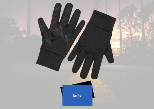 GANTS
